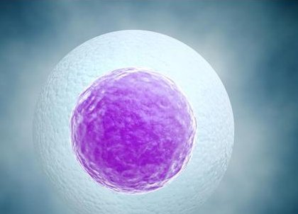 吉尔吉斯斯坦试管婴儿费用现状及性价比分析