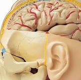 一、二、三代试管婴儿费用表，成功需要多少钱解读