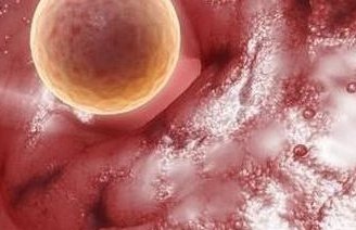 南昌试管婴儿医院的成功率与患者的遗传因素的关系，基因的力量